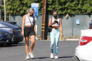        van150820BZN image115.jpg