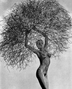 herb-ritts_neith-with-tumbleweed-paradise-cove-1986.thumb.jpeg.39f7e0eb98fa3307d2ad7ee8f84f5b16.jpeg
