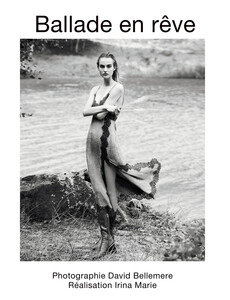 5f2056801a76d_david-bellemere-artsphere-numero-ballade-de-reve-10.jpg