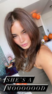 Screenshot_2020-10-09 vanessahudgens Смотрите анонимно и скачивайте истории Instagram Онлайн Сервис(1).png