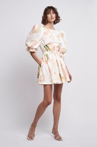S46-20RE5181_Imprint_Mini_Dress_Painterly_Laceleaf-20681-Aje-0378.jpg