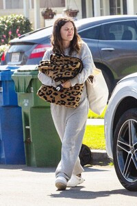 rachel-bilson-in-a-grey-sweats-north-hollywood-02-08-2021-8.jpg