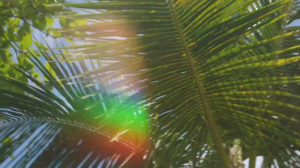 Nautica Summer With Friends-00.00.29.343.png