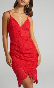 typicalloverdressinredlace__s006210__8_1.jpg