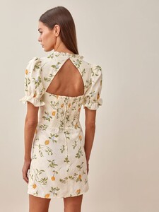 easton-dress-citron-2.jpeg