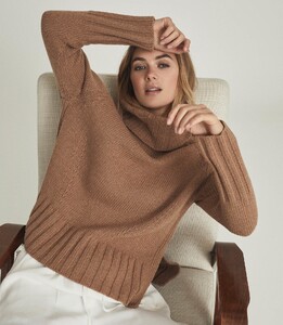 wool-cashmere-blend-roll-neck-womens-eve-in-camel-brown-3.thumb.jpg.0808e70ea7d0030826d143cfa54416fe.jpg