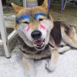 singing1970's avatar