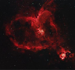 Smoother Than Jazz 🎼's avatar