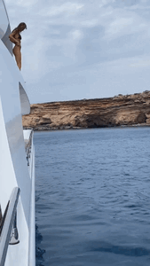 ezgif.com-gif-maker (6).gif