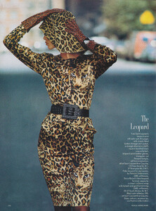 theleopard-3.thumb.jpg.c6558e03c00b9efa475077c61d1099d7.jpg