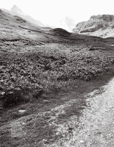 Madame Figaro No. 1940 - 29 Octobre 2021m -7.jpg