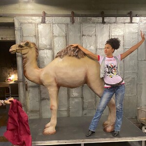 view - 2021-11-12T161414.979.jpeg