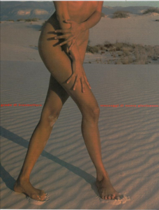Ferri_Vogue_Italia_February_1990_01_08.thumb.png.7c786e2483612a38a41c0d2733b61429.png