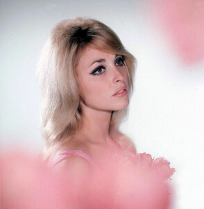 sharon_tate_03_!-gthumb-gwdata1600-gfitdatamax.jpg