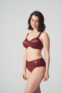 eservices_primadonna-lingerie-full_briefs-orlando-0563151-red-2_3544246.jpg
