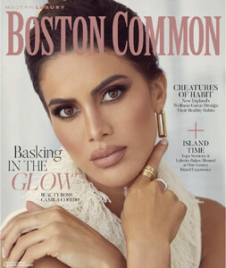 Modern Luxury Boston Commons 522.jpg