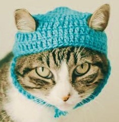 The Cat In The Hat's avatar