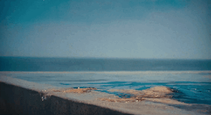 ezgif.com-gif-maker (20).gif