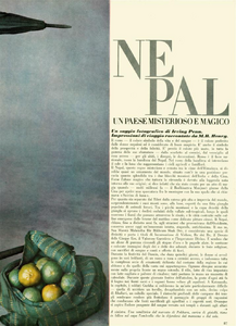 Penn_Vogue_Italia_July_August_1969_02.thumb.png.172021f03d77d29dc9b914ef2c8d22c9.png