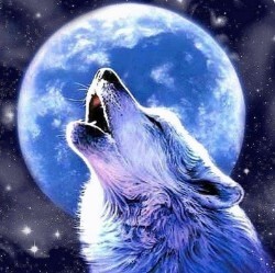 Lonewolfstar's avatar