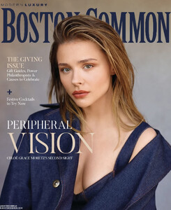 Modern Luxury Boston Common 1122.jpg