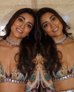 Shriya Saran (4).jpg