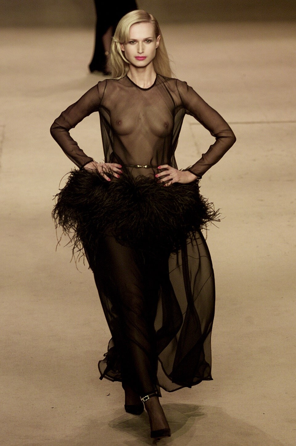 savits s02ysl-HC-156-v.jpg