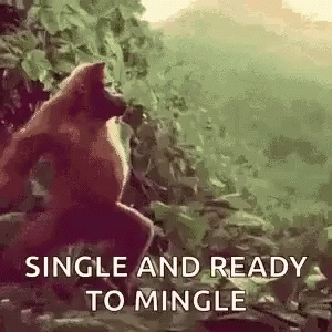 single-ready-to-mingle.gif.fd9e8d8b1fbb60a4cb0a949d72c57394.gif