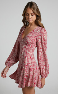 Riecha_Long_Sleeve_Mini_Dress_in_Red_Ditsy_Floral_5.thumb.jpg.688c7786ade77e0c30d8757266cd5097.jpg