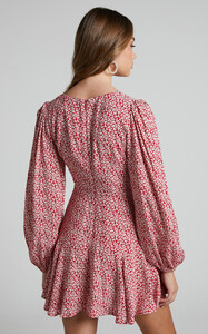Riecha_Long_Sleeve_Mini_Dress_in_Red_Ditsy_Floral_7.thumb.jpg.035e27cc33a0cbf64936ec120f6894d8.jpg