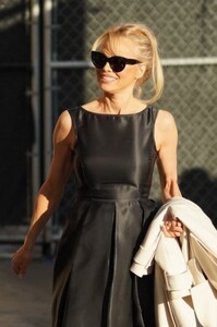 pamela-anderson-arrives-at-el-capitan-entertainment-centre-in-hollywood-01-31-2012-1.jpg