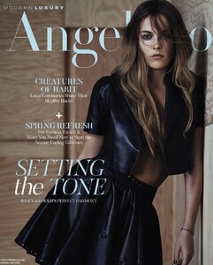 Modern Luxury Angelino 423.jpg