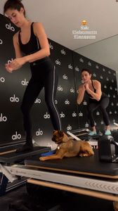 km (1)-00.00.09.717.png