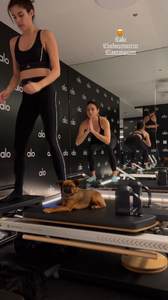 km (1)-00.00.02.938.png