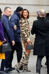 zendaya-louis-vuitton-show-at-paris-fashion-week-03-06-2023-0.jpg