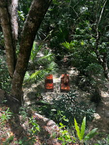 demmbrnormedaprilconetntelmemreor (36).jpg