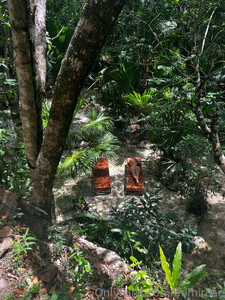 demmbrnormedaprilconetntelmemreor (35).jpg