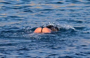 candisdouyt5464y5 (17).jpg