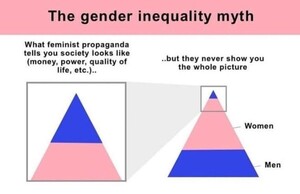509389017_Genderinequality.thumb.JPG.8d46f7e194803748e62adab2a8fb66f4.JPG