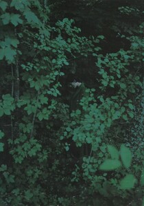 11marie claire 10_1996.jpg