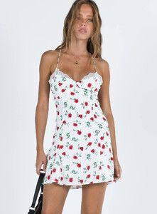 Boylan Mini Dress White _ Red Floral_01.jpg