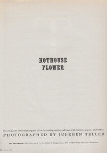 hothouseflower-1.thumb.jpg.44a4d6f630b000ec31efd117fbda96b3.jpg