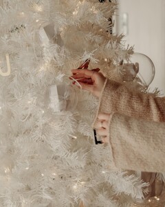 [2023.12.23] bychari_410930476_18405384961023587_421961440060035646_n.jpg