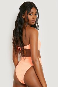 female-coral-shirred-texture-high-waisted-bikini-brief.thumb.jpg.d663a1b9f5743d37796c1683874efd1c.jpg