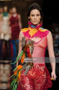 Mayana f05animale-artemisia-Rio--52019555-.jpg