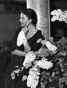 ava 1955 london (2).jpg