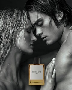 [2024.05.20] jentriee_443265422_1730618600804708_6472418299787373246_n.jpg