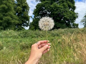 [2024.05.30] carmellarose_446935687_332810446323727_8973258113525410730_n.jpg