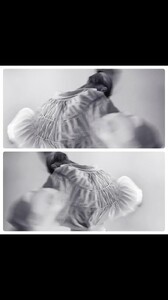 Snapinsta.app_video_944C832A2438B37A69C365340544EC80_video_dashinit - frame at 0m13s.jpg