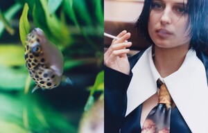 2024-05-14 09.30.00 3367714805986352724_268075649.jpg